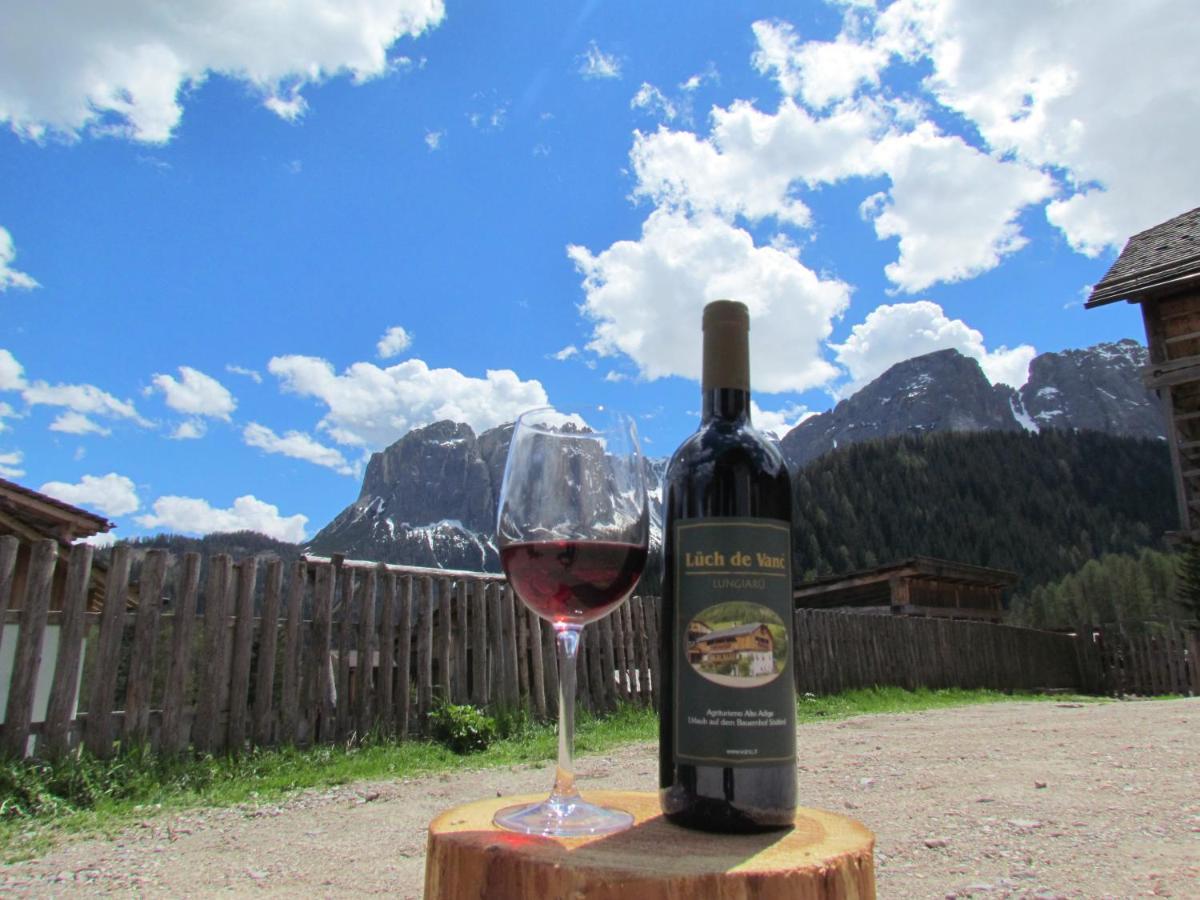 Agriturismo Luech De Vanc San Martino in Badia Exteriér fotografie